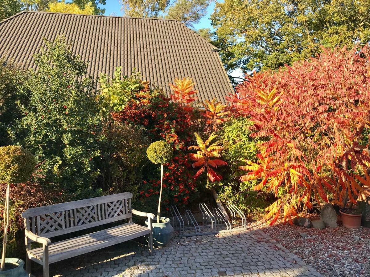 "Steuerbord" By Ferienhaus Strandgut Born Buitenkant foto